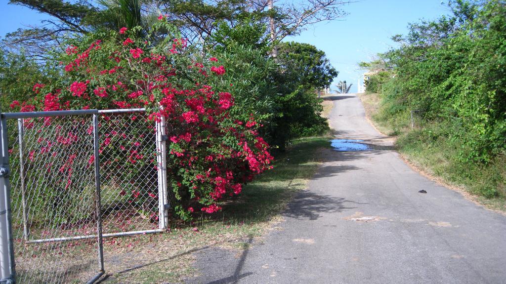 Tranquility By The Sea Villa Vieques Buitenkant foto