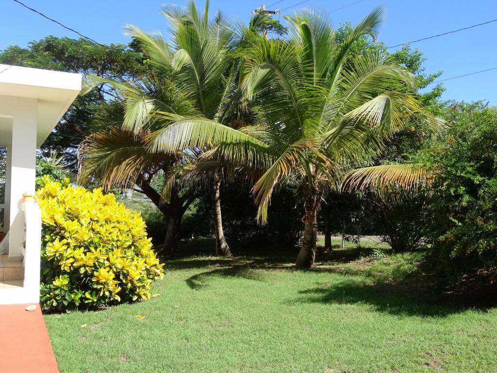 Tranquility By The Sea Villa Vieques Buitenkant foto