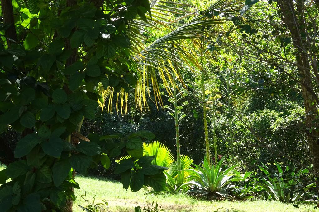 Tranquility By The Sea Villa Vieques Kamer foto