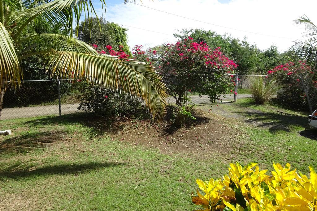 Tranquility By The Sea Villa Vieques Kamer foto