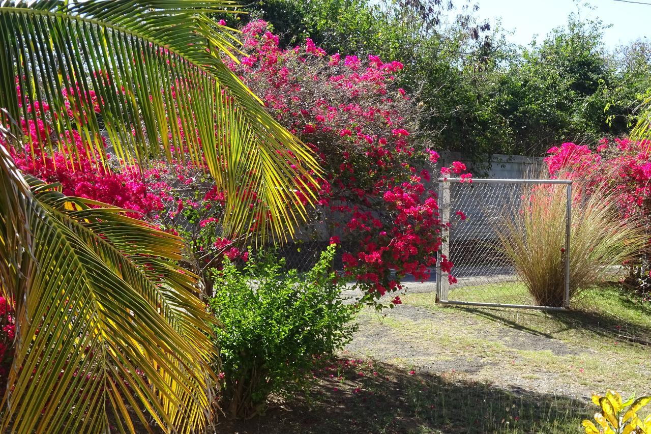 Tranquility By The Sea Villa Vieques Buitenkant foto