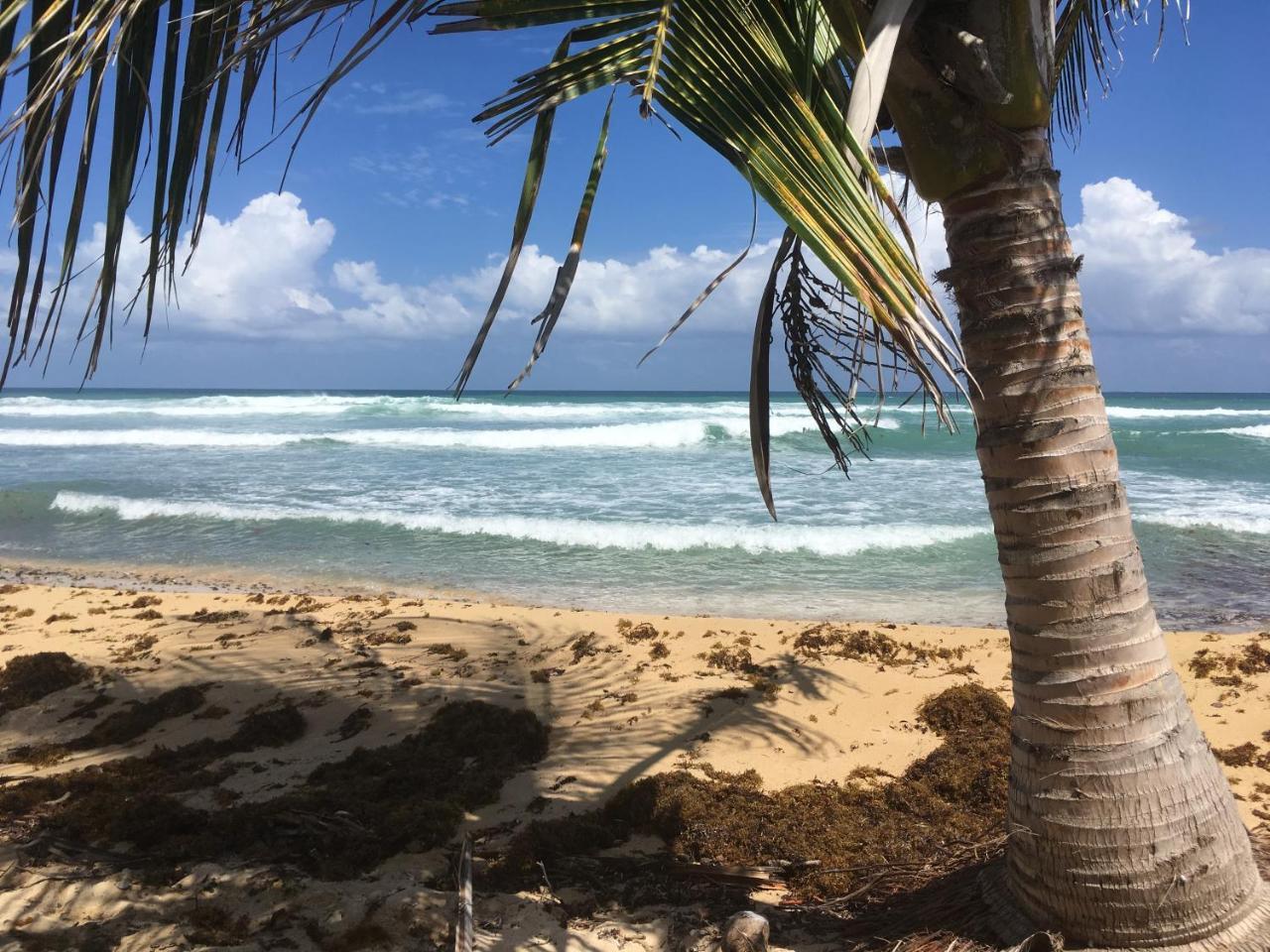 Tranquility By The Sea Villa Vieques Buitenkant foto