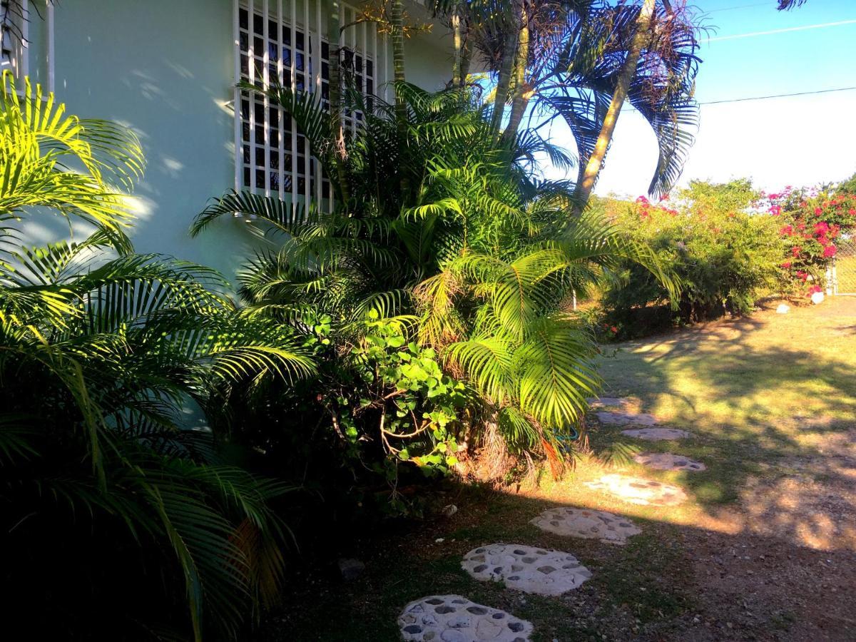 Tranquility By The Sea Villa Vieques Buitenkant foto