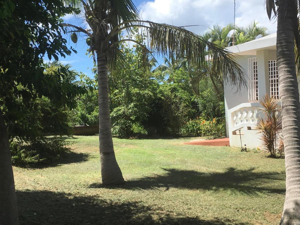 Tranquility By The Sea Villa Vieques Buitenkant foto